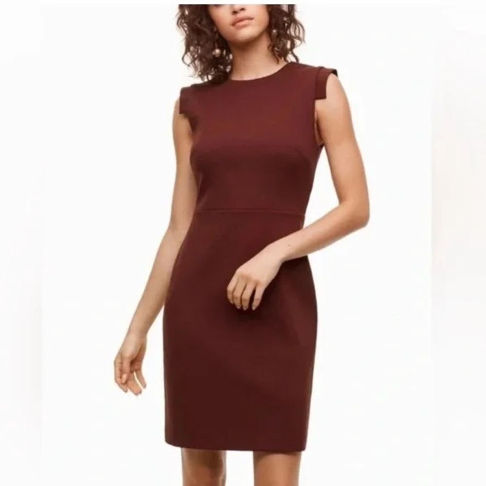 Aritzia Babaton Etienne Dress